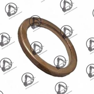 Кольцо уплотнительное 06.56190-0706