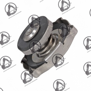 Крышка радиатора 1.119-00001