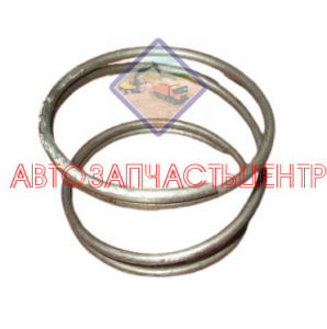 Пружина 38462